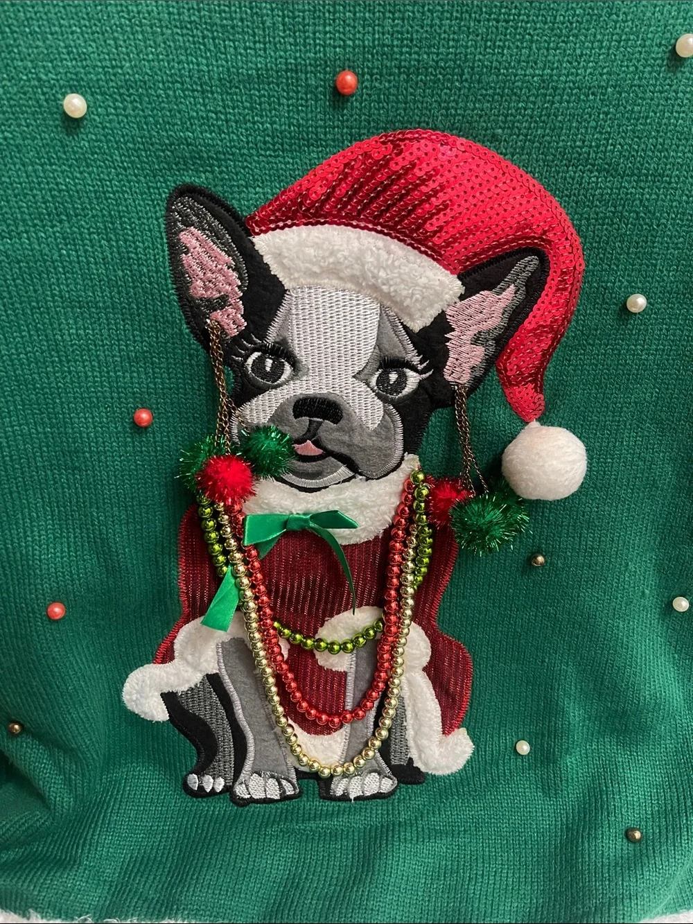Holiday Time Green & Red Dog Holiday Sweater with Sequin Santa Hat